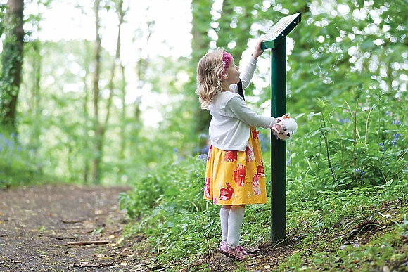 Woodland walks