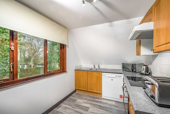 3 Bed Bronze Swiss Chalet - St Ives Holiday Village, Lelant, St Ives