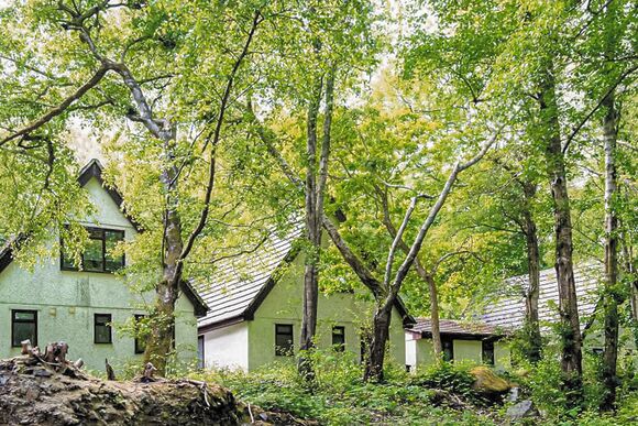 Typical SI 3 Bed Bronze Swiss Chalet (Pet) 