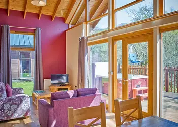 Classic Silver Birch 2 WF (Pet) - Strathyre Lodges, Callander, Stirlingshire