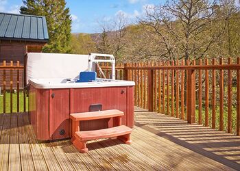 Classic Silver Birch 2 WF (Pet) - Strathyre Lodges, Callander, Stirlingshire