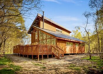 Golden Oak 4 (Pet) - Strathyre Lodges, Callander, Stirlingshire