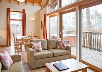 Classic Silver Birch 3 (Pet) - Strathyre Lodges, Callander, Stirlingshire