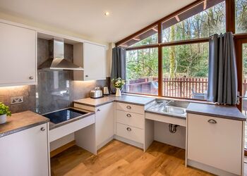 New Style Silver Birch (Pet) - Strathyre Lodges, Callander, Stirlingshire