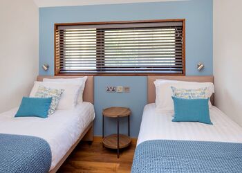 New Style Silver Birch (Pet) - Strathyre Lodges, Callander, Stirlingshire