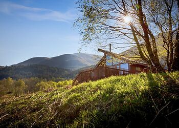 New Style Silver BirchWF (Pet) - Strathyre Lodges, Callander, Stirlingshire