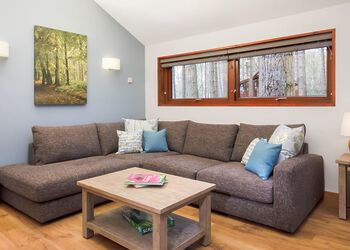 New Style Silver BirchWF (Pet) - Strathyre Lodges, Callander, Stirlingshire