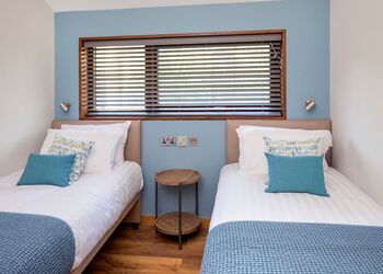 New Style Silver BirchWF (Pet) - Strathyre Lodges, Callander, Stirlingshire
