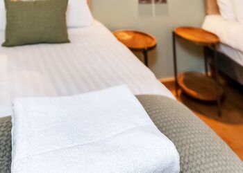 New Style Golden Oak (Pet) - Strathyre Lodges, Callander, Stirlingshire