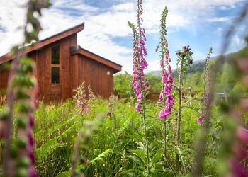 Golden OakTreehouse - Strathyre Lodges, Callander, Stirlingshire