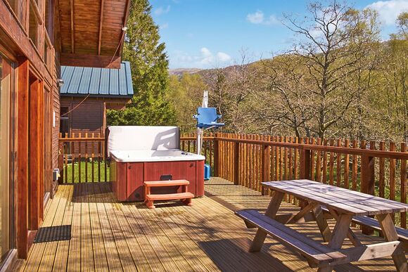 Classic Silver Birch 2 WF (Pet) - Strathyre Lodges, Callander, Stirlingshire