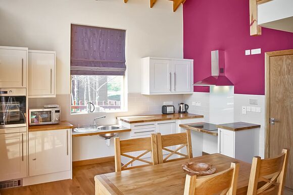 Classic Silver Birch 2 WF (Pet) - Strathyre Lodges, Callander, Stirlingshire