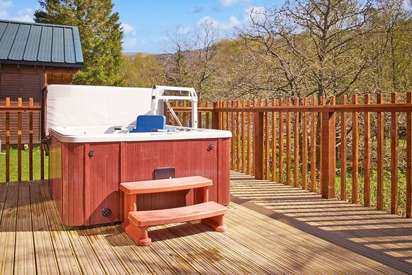 Classic Silver Birch 2 WF (Pet) - Strathyre Lodges, Callander, Stirlingshire