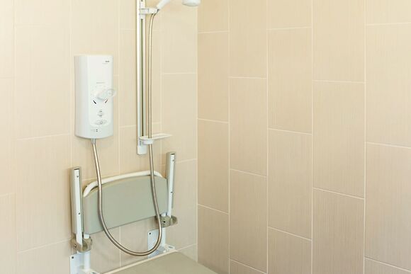 Classic Silver Birch 2 WF (Pet) - Strathyre Lodges, Callander, Stirlingshire