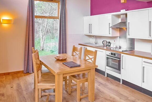 Classic Silver Birch 2 (Pet) - Strathyre Lodges, Callander, Stirlingshire