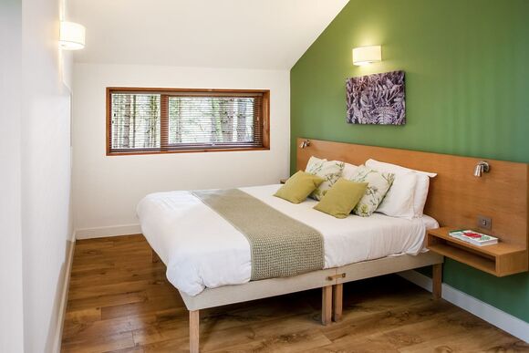 Golden Oak 4 (Pet) - Strathyre Lodges, Callander, Stirlingshire