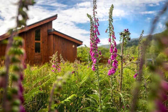 Golden Oak Lochside 4 - Strathyre Lodges, Callander, Stirlingshire