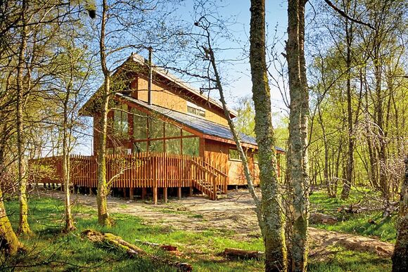 Golden Oak Hideaway Lochside (Pet) - Strathyre Lodges, Callander, Stirlingshire