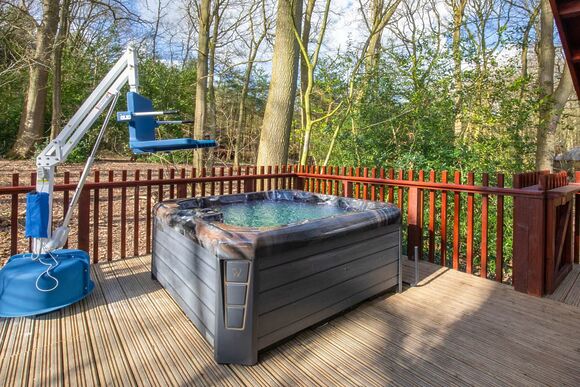 New Style Silver Birch (Pet) - Strathyre Lodges, Callander, Stirlingshire