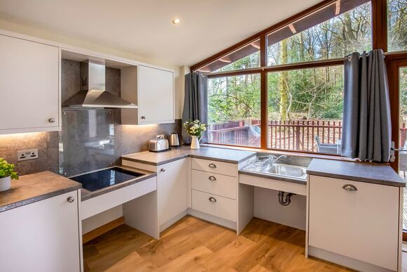 New Style Silver Birch (Pet) - Strathyre Lodges, Callander, Stirlingshire