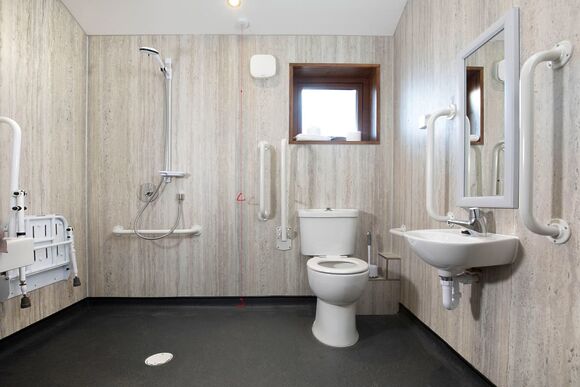 New Style Silver Birch (Pet) - Strathyre Lodges, Callander, Stirlingshire