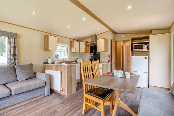 Bronze Caravan with parking - Sundrum Castle, Ayr, Ayrshire and Arran