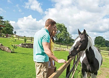 Sun Hill Lodges, Constable Burton