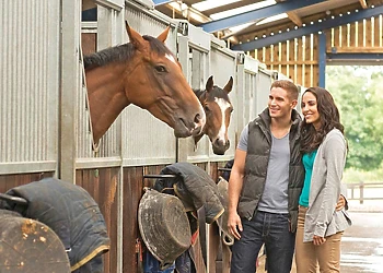 Sun Hill Lodges, Constable Burton