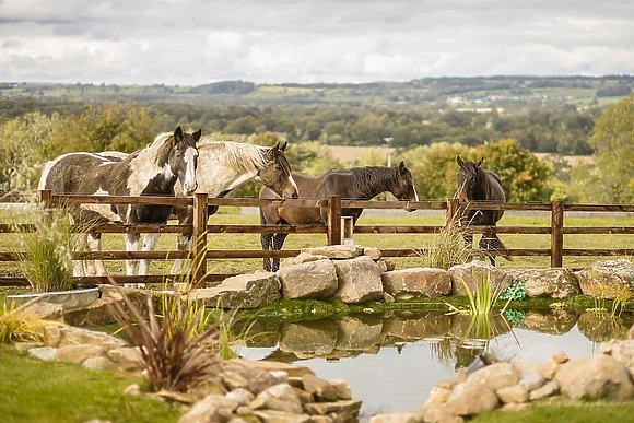 Sun Hill Lodges, Constable Burton
