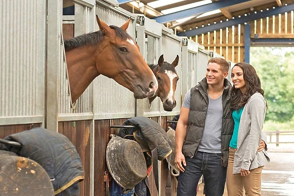 Sun Hill Lodges, Constable Burton