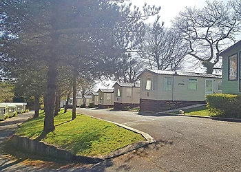 The park setting