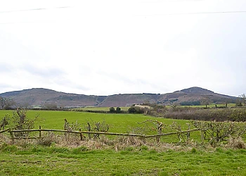 The Leven