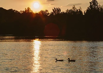 Swanborough Lakes, Lewes