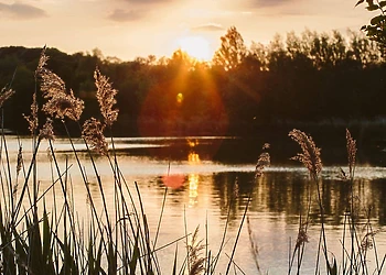 Swanborough Lakes, Lewes