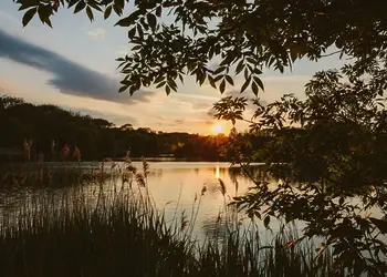 Swanborough Lakes Luxury Lodges, Lewes