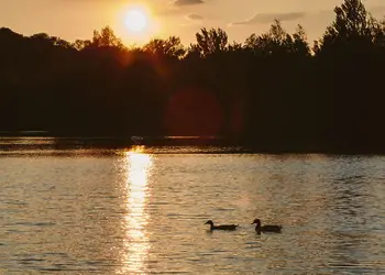 Swanborough Lakes Luxury Lodges, Lewes