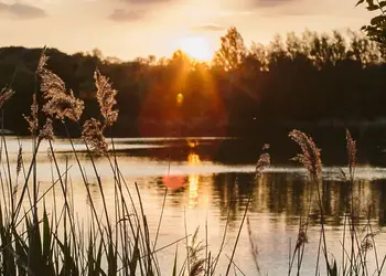 Swanborough Lakes Luxury Lodges, Lewes