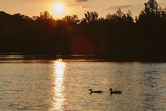 Swanborough Lakes, Lewes