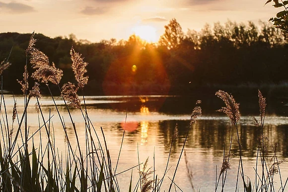 Swanborough Lakes, Lewes