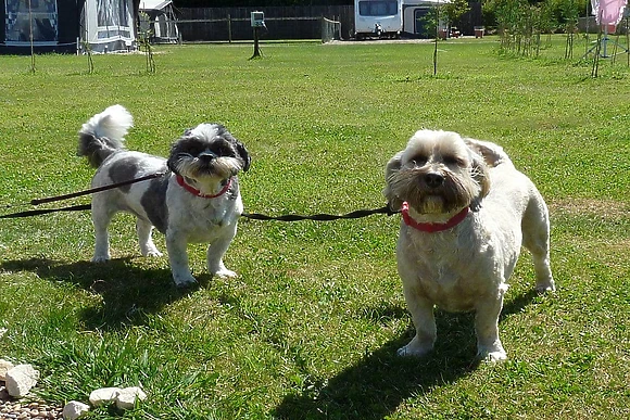 Stream Valley Holiday Park, Penzance
