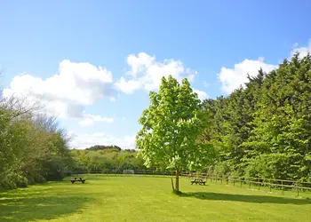 Tarka Holiday Park photo 7