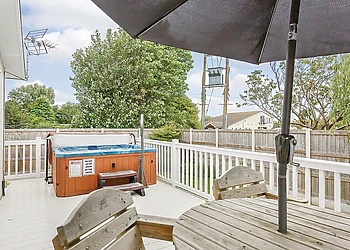 Typical Beech Tree Premier