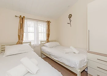 Typical Beech Tree Premier