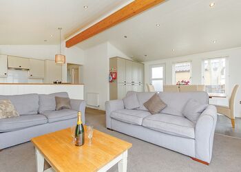 Typical Tirtree 4 Premier