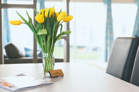 Buckthorn - Talacre Beach Resort, Talacre, Holywell