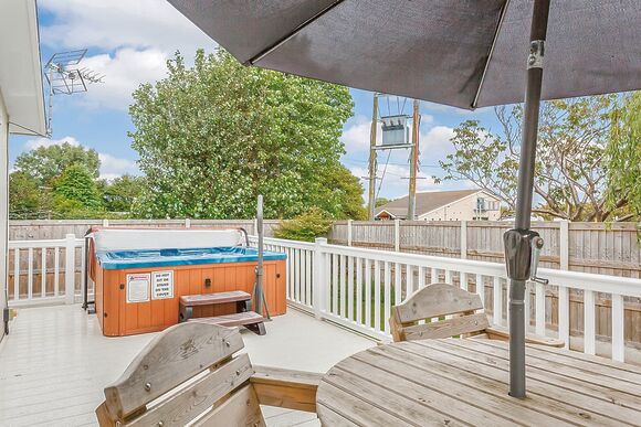 Typical Beech Tree Premier