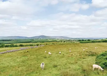 The park setting<br />