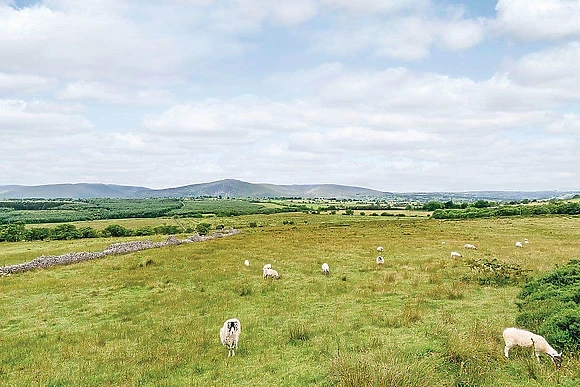 The park setting<br />