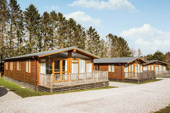 Typical Lamondby Premier 2