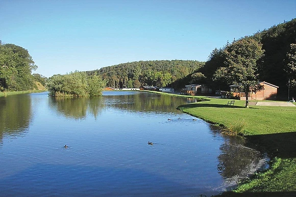 The park setting